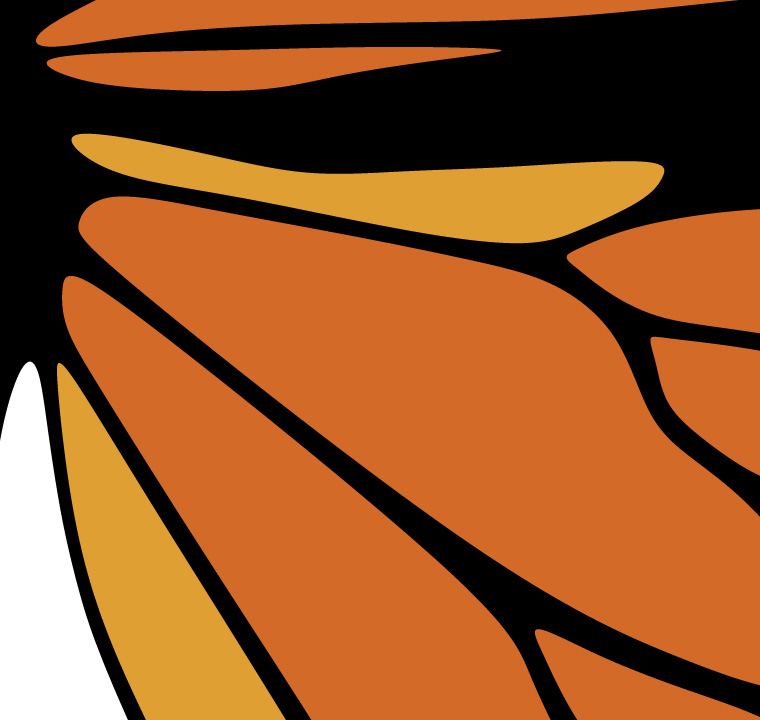 Polar Signal Design, Brand Identity | Logo Development