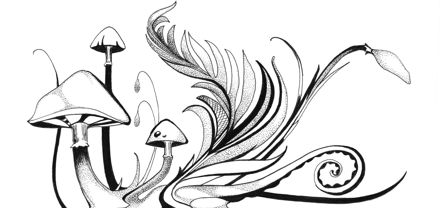 Polar Signal Design, Illustration | Pen & Ink